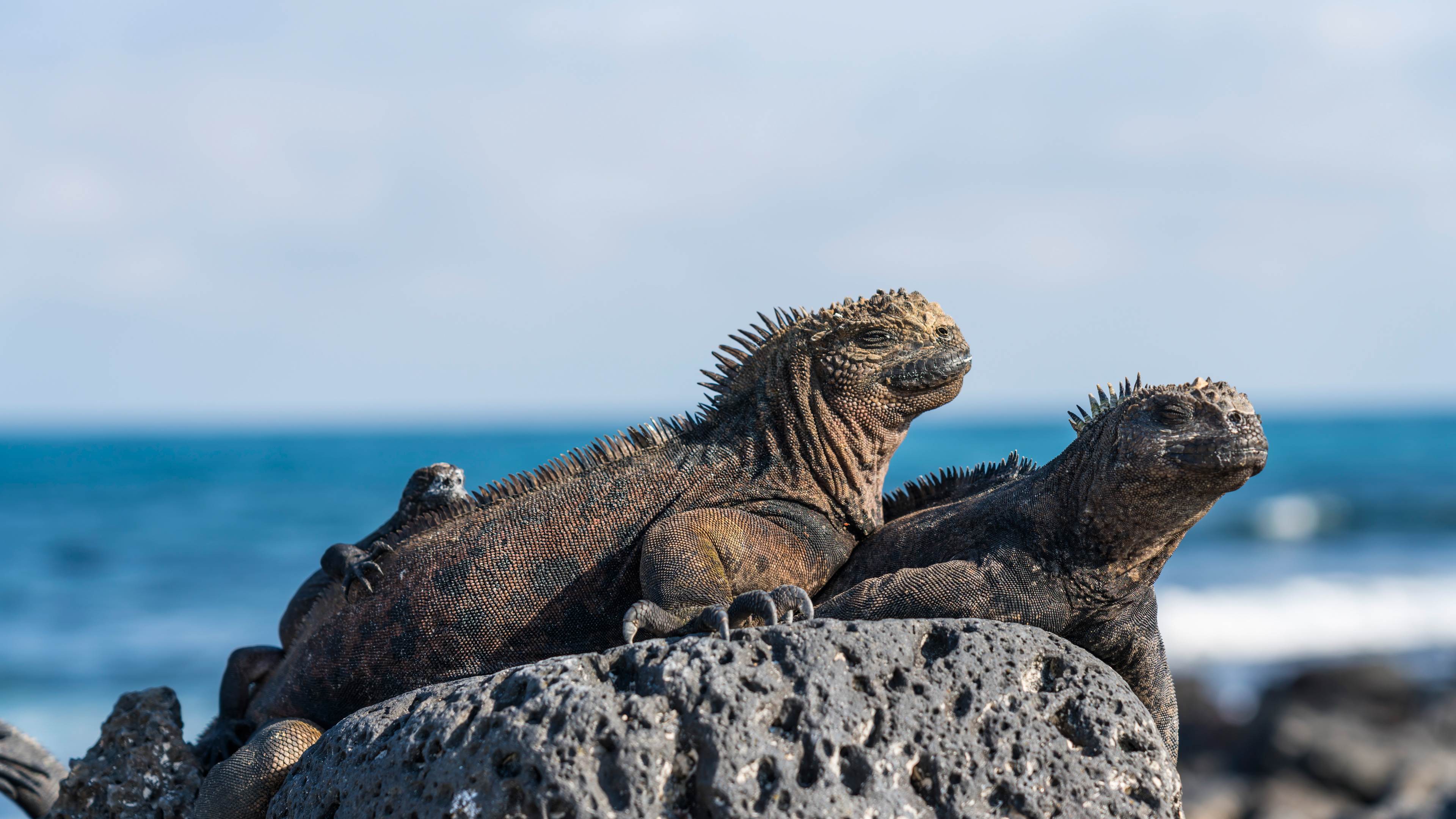 2025-07-19_13-05-03-309279
